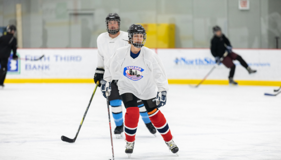 Stick & Puck (Goalie)